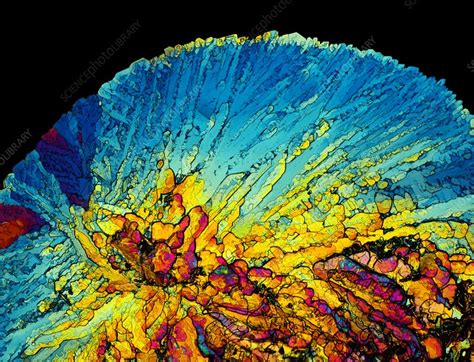 Insulin crystals, light micrograph - Stock Image - C017/8249 - Science Photo Library