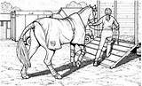 Horse Dressage Coloring Page » Turkau sketch template