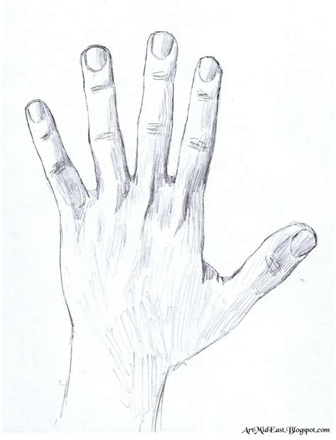 How to draw a hand - A step by step guide | Drawing Lessons