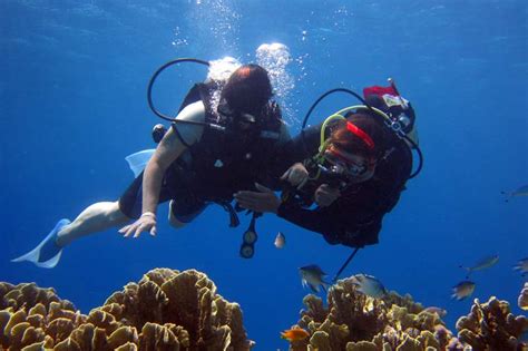 scuba diving in Andaman Islands