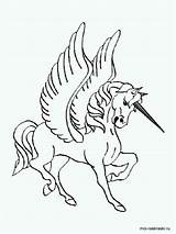 Simple Pegasus coloring page sketch template