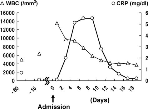 Transition of the inflammatory markers. Slightly increased markers were... | Download Scientific ...