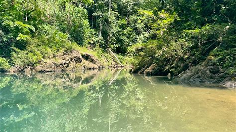 Floating in Rio Claro: The Ultimate River Relaxation in Drake – Paradise Catchers