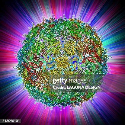 Ga Bacteriophage Capsid High-Res Vector Graphic - Getty Images