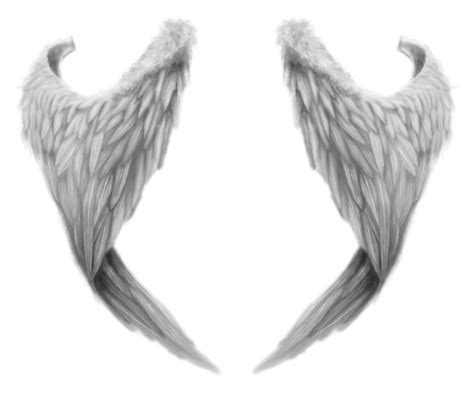 White wings PNG