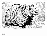 Coloring Pages Groundhog Day / Punxsutawney Phil Spring Art sketch template