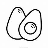 Avocado Coloring Pages Printable sketch template