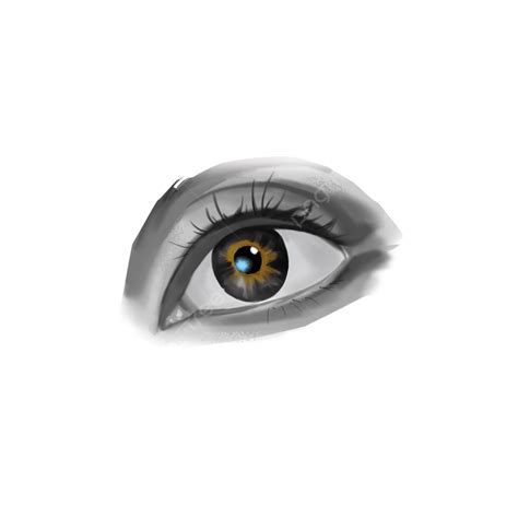 Eyesight Hd Transparent, Eye Exercises To Protect Eyesight, Eye, Vision, Love PNG Image For Free ...