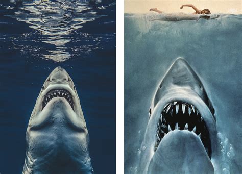 Photographer Recreates Jaws Movie Poster With Great White Capture | Fstoppers
