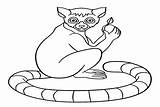 20  Lemur Coloring Pages Free Printable PDF & Online sketch template