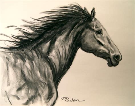 Abstract Horses: Charcoal Sketch of a Wild Horse by Theresa Paden