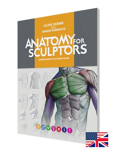 Understanding the Human Figure Paperback | by Anatomy For Sculptors® | Human figure, Human ...