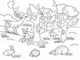 Owl In The Forest Coloring Book For Adults Vector Stock  sketch template
