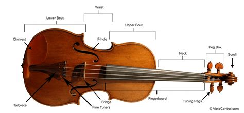 What Is a Viola? – Viola Central
