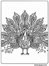 Peacock Mandala Coloring Pages  Free Printable PDFs sketch template