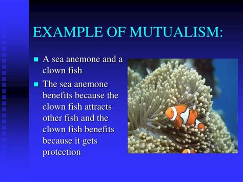 PPT - SYMBIOTIC RELATIONSHIPS WORDS 17-22 Symbiosis Mutualism Commensalism Parasitism Parasite ...