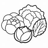 Cauliflower brussels sprouts Cabbage vegetables Outline coloring Book  sketch template