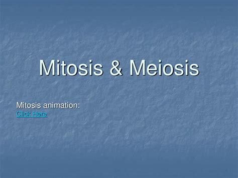 Mitosis animation: Click Here - ppt download