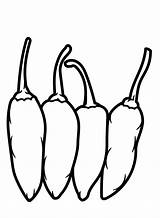 Chili Pepper Pictures Coloring Page  Free Printable Pages sketch template