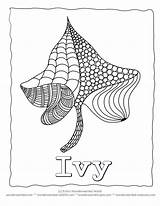 Ivy Coloring Leaf Template Leaves Pages Printable Plant Drawing Color  sketch template