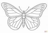 Butterflies Coloring Pages Monarch Butterfly  sketch template
