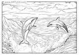 10 Ocean Coloring Pages Free  Printable – Artlex sketch template