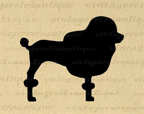 Poodle Dog Silhouette Graphic Image Printable Digital Illustration ...