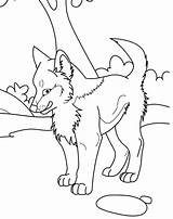 Wolf Pup Coloring Pages sketch template