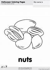 Nuts Coloring Page  Super Simple sketch template