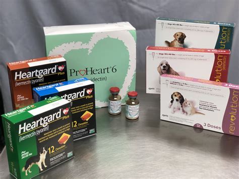 Is Heartworm Medication Dangerous For Dogs