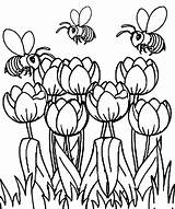 Spring Flowers Coloring Pages sketch template