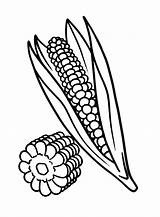 Corn Coloring Pages Printable For Free Download sketch template