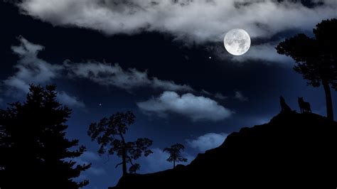 Wallpapers Moonlight - Wallpaper Cave