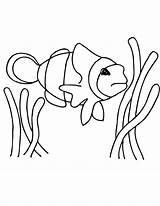 Clown Fish Coloring Page Printable sketch template