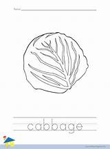 Cabbage Coloring Worksheet – The Learning Site sketch template