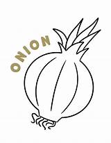 Onion Coloring Pages sketch template