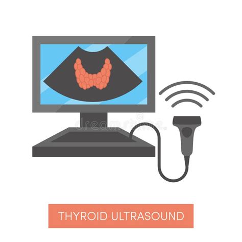 Thyroid Ultrasound Stock Illustrations – 190 Thyroid Ultrasound Stock Illustrations, Vectors ...