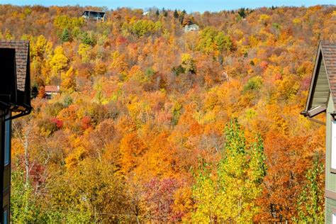 Fall Colors in the Mountains Stock Photo - Image of great, foothills: 164853158