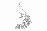 2 Coloring Peacock Designs & Illustrations sketch template