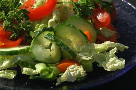 Healthy Lunch Picture. Image: 796046