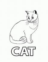 Free Printable Cat Coloring Pages For Kids sketch template