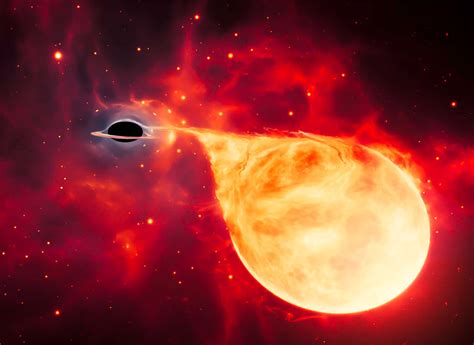 Astronomers Discover Nearby Black Hole Being Orbited by a Sun-Like Star 1,570 Light-Years from ...