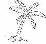 Coconut Tree Coloring Page  Free Clip Art sketch template
