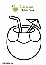 Coconut Coloring Pages For Kids – Free Printables  Art & Craft sketch template