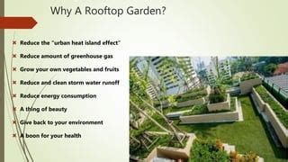 Innovative roof top gardening | PPT