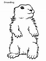 Printable Coloring Pages Of Groundhogs  Home sketch template