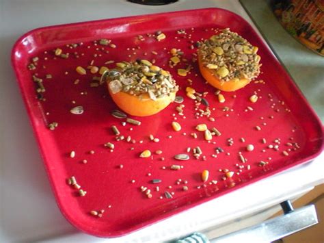 I smeared pb on orange halves, sprinkled with leftover ham… | Flickr