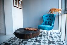 Orange Tabby On Wooden Chair Free Stock Photo - Public Domain Pictures