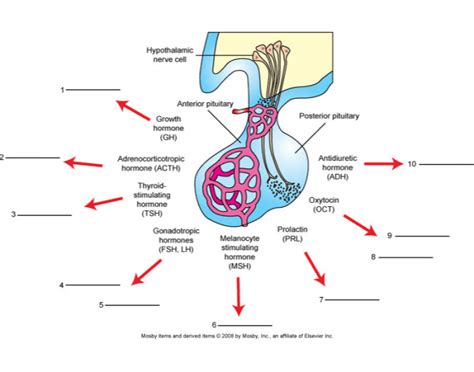 Target Organs Quiz