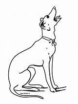 Barking Dog Colouring Pages Sketch Coloring Page sketch template